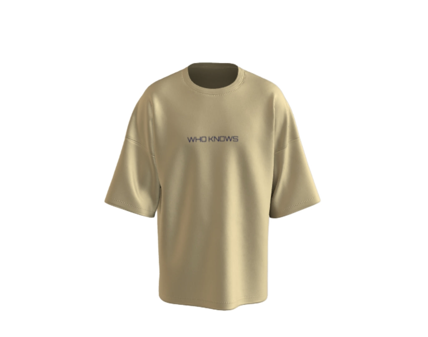 IF YOU SAW ME LAST NIGHT OVERSIZED TSHIRT